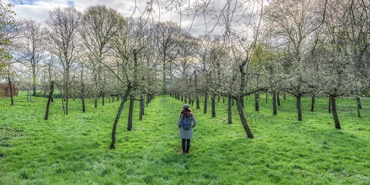 foto van een vrouw in een fruitboomgaard.