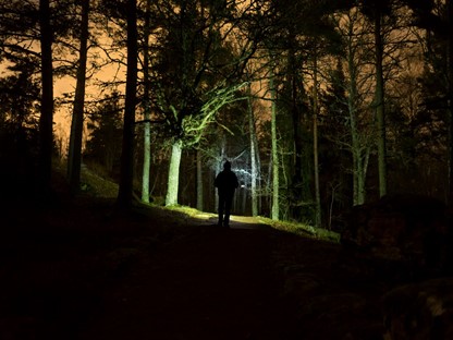 Wandelwoorden Deel 6 Nachtwandelen: Wandelen avond