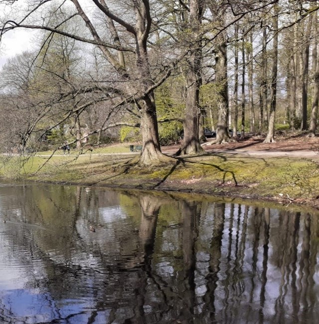 Park Sonsbeek