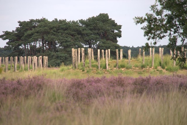 Natuurbegraafplaats De Hoevens wandelroutes