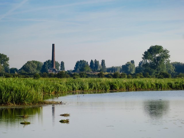 Natuurgebied de Groenlanden in de Ooijpolder