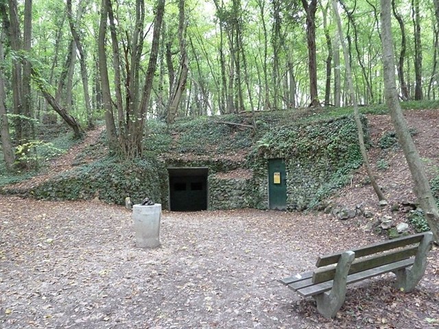 8 X De Mooiste Wandelroutes In De Herfst Savelsbos
