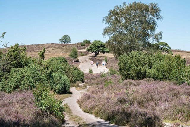 De Alchemerberg