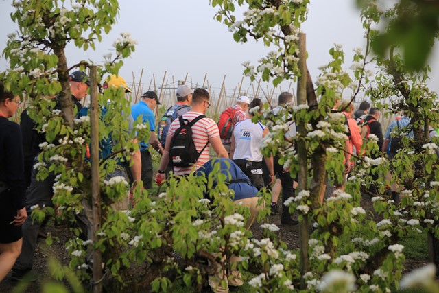 Bloesemtocht Door De Jaren Heen (Abdonkerfotografie) (8 Van 67)