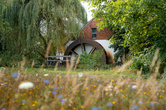 Wandelroute Belgie, Belgisch Limburg Kempenbroek Pauzeren Bij De Luysmolen