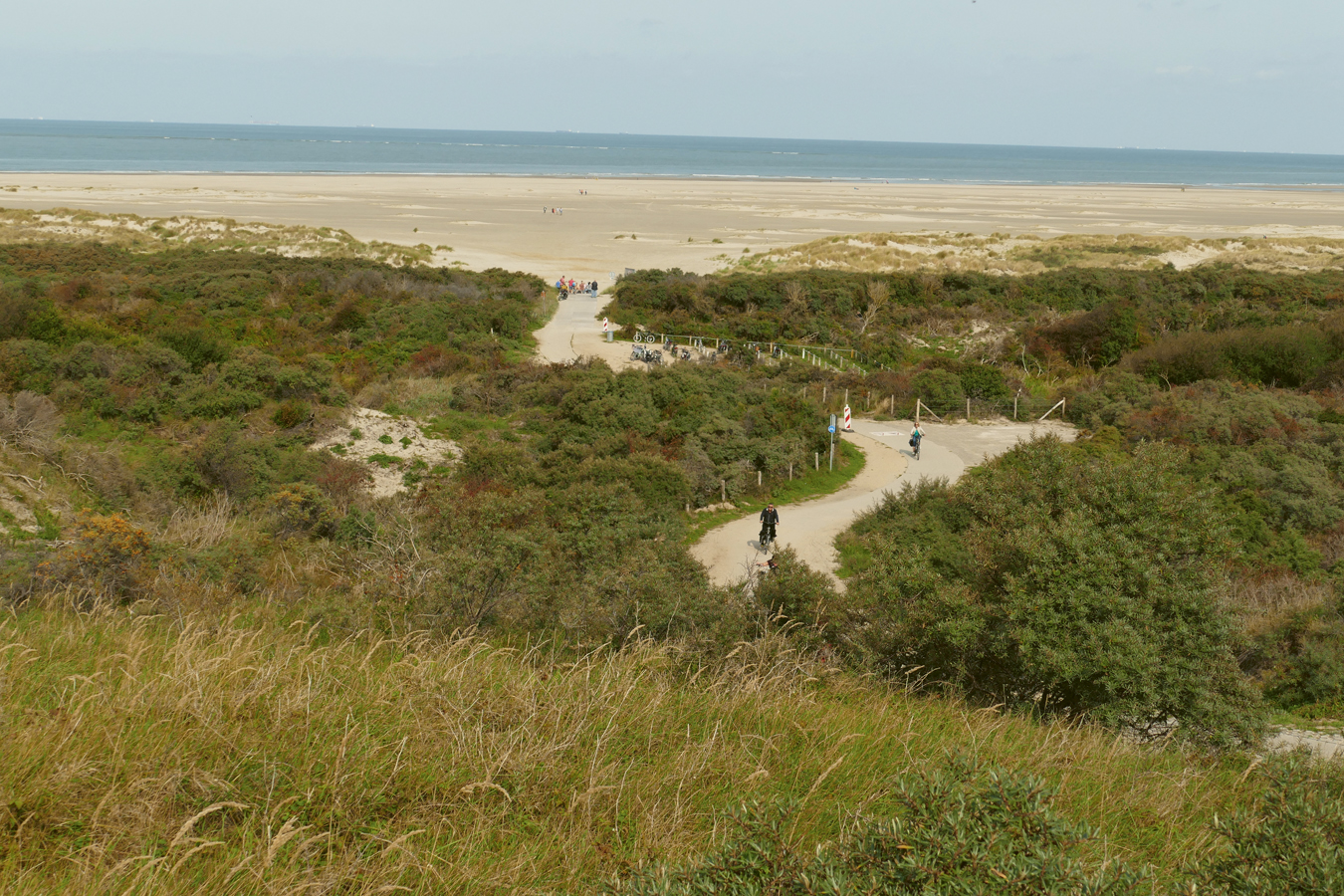 afbeelding van de kust in Renesse