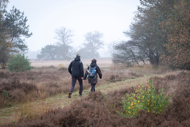 Wandelingen Die Ruimte Maken In Je Hoofd