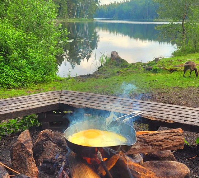 Tyresta National Park