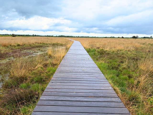 Vlonderpad door het Haaksbergerveen