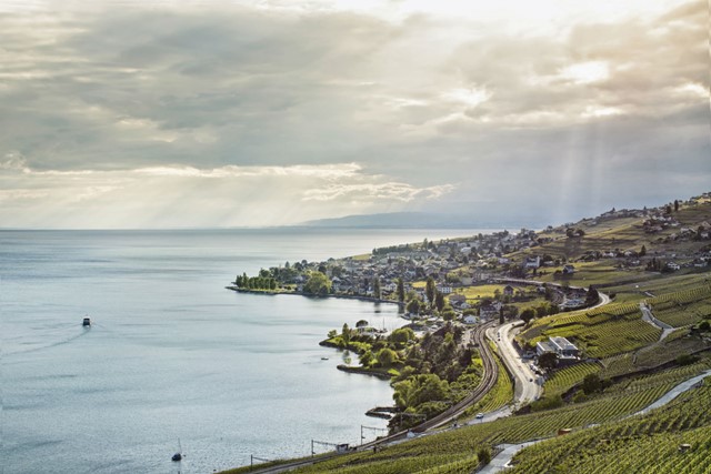 Terrasses de Lavaux, de Zwitserse wijnroute Genieten tussen de wijnranken