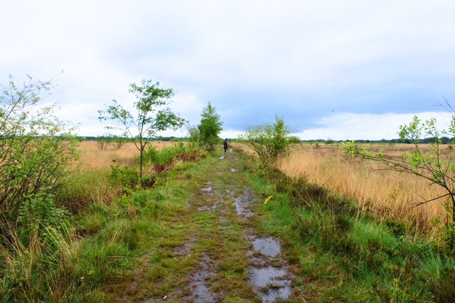 Haaksbergerveen