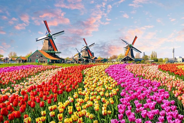 De Mooiste Wandelroutes Langs Molens Zaanse Schans, Zaandam Noord-Holland