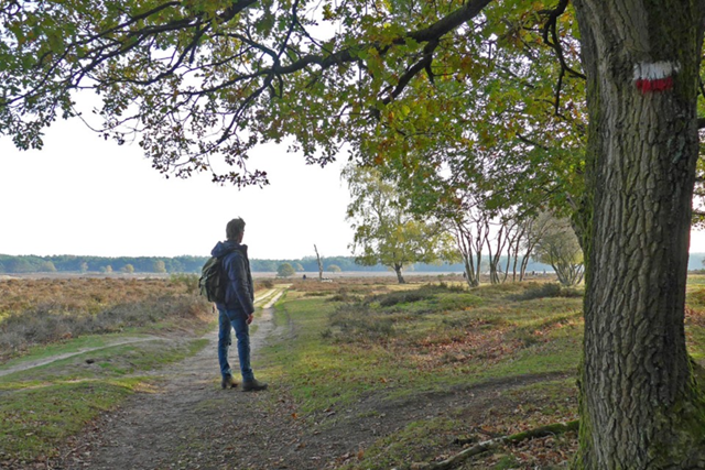 3 Mooie Wandelroutes Bij Paleis Soestdijk NS Wandeling Landgoed Groeneveld Station Baarn