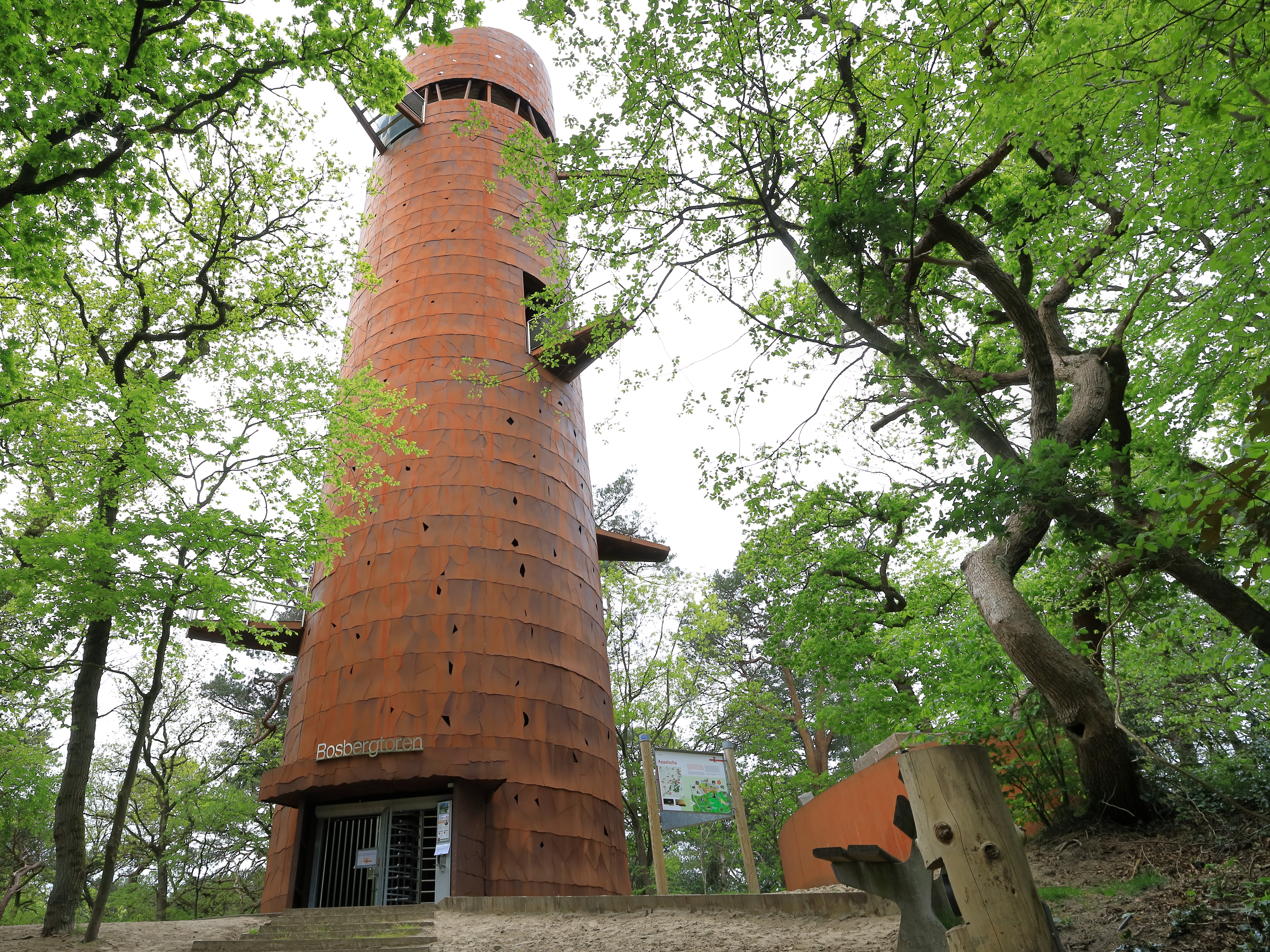 Bosbergtoren Appelscha