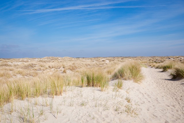 afbeelding van duinen op Texel.
