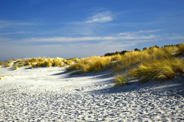 Duinen