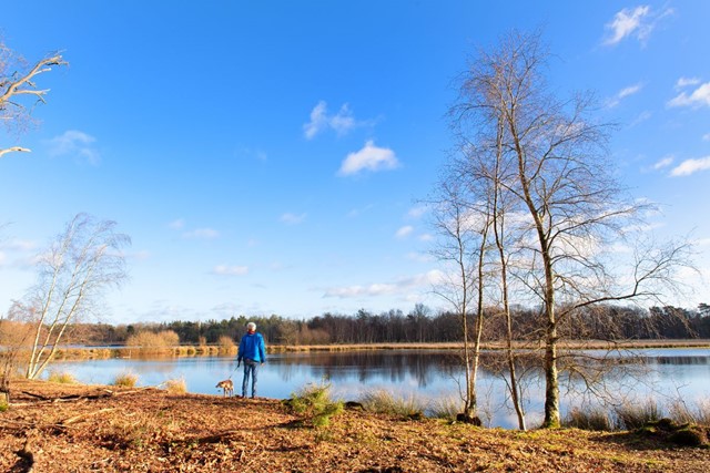 Wandelvakantie Utrecht mooiste wandelreizen Nederland