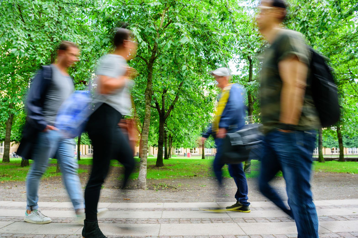 Wandel geest 2025 schoenen