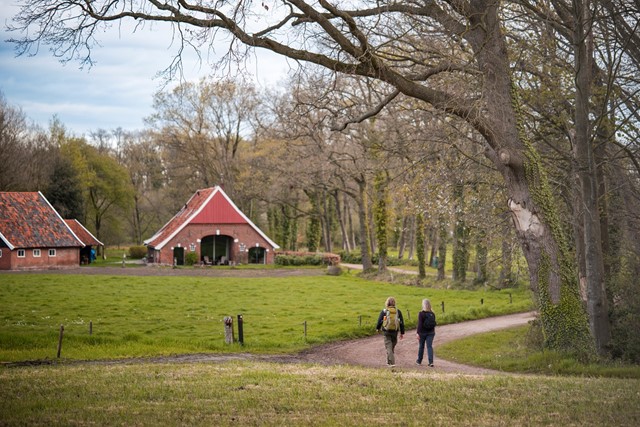 Wandelen in de Achterhoek