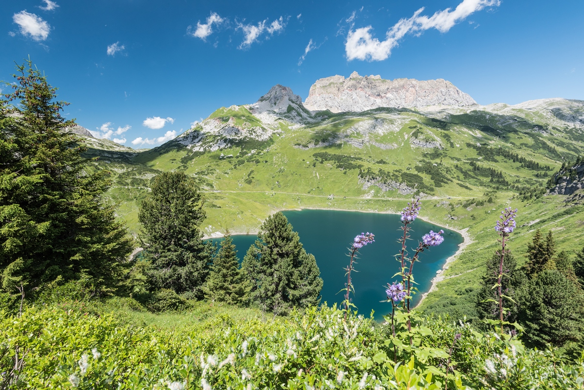 Uitzicht op de bergen van Oostenrijk - Katharina Fiser – Lech Zürs Tourismus