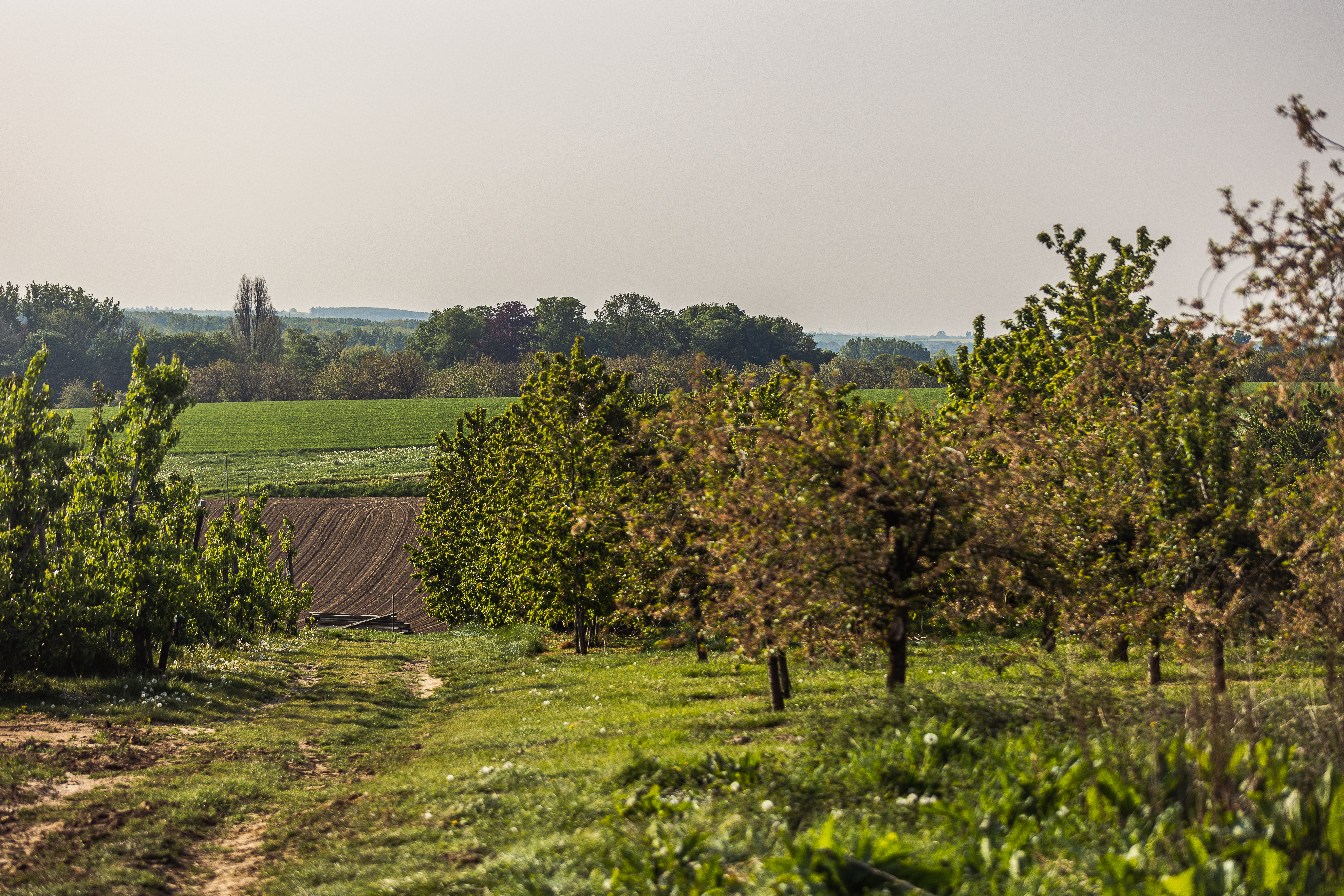 Toerismevlaanderen COF HR 019