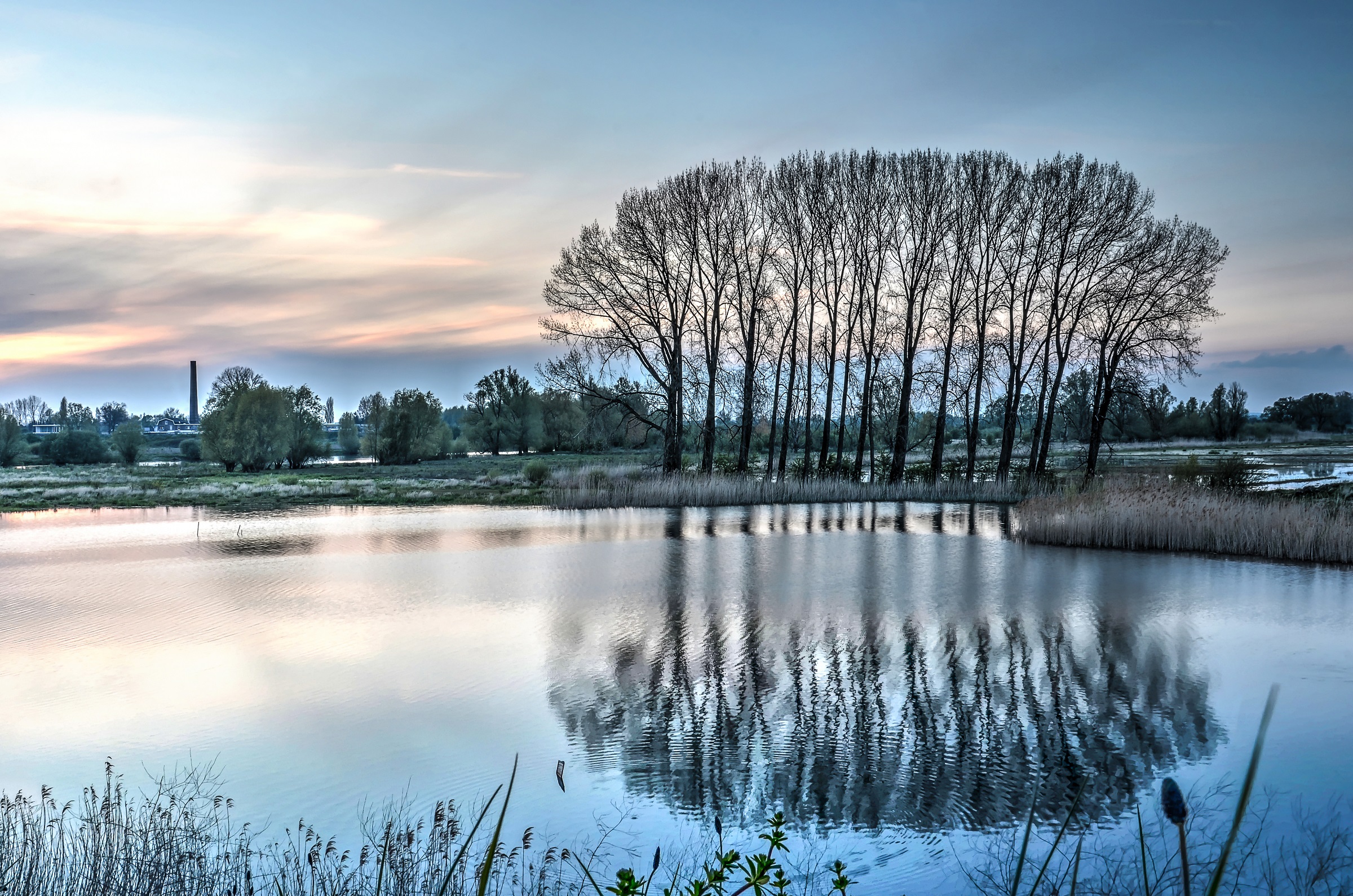 Header De 5 Favoriete Wandelroutes Van Historicus Mari Smits