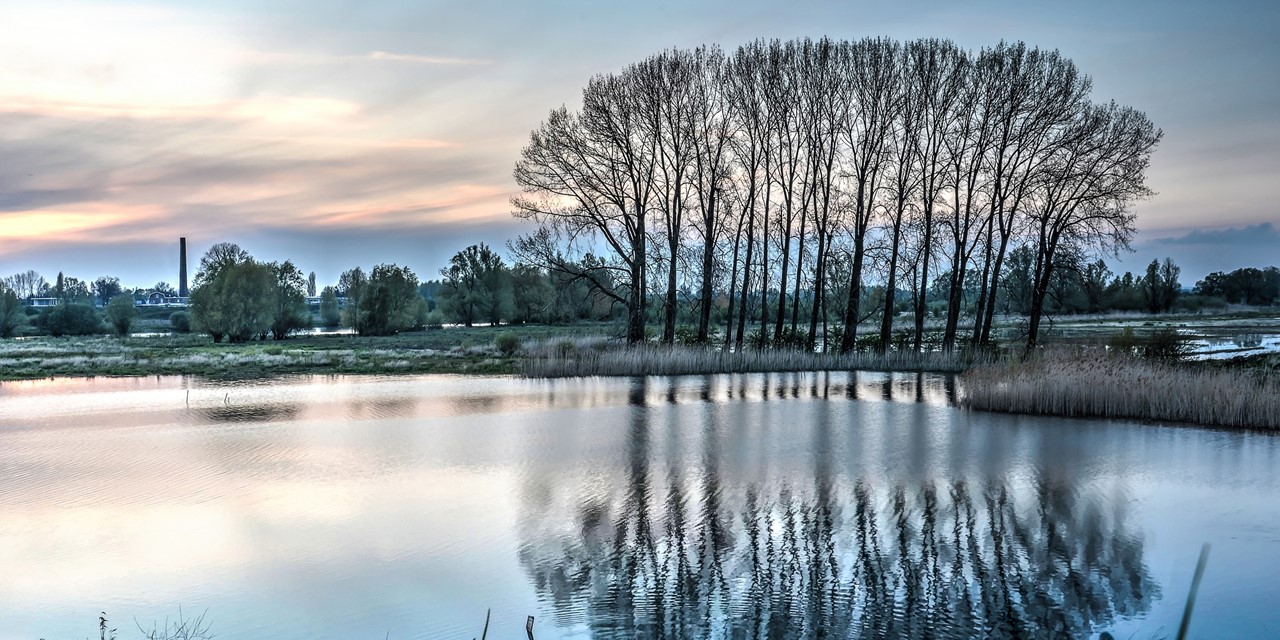 Header De 5 Favoriete Wandelroutes Van Historicus Mari Smits