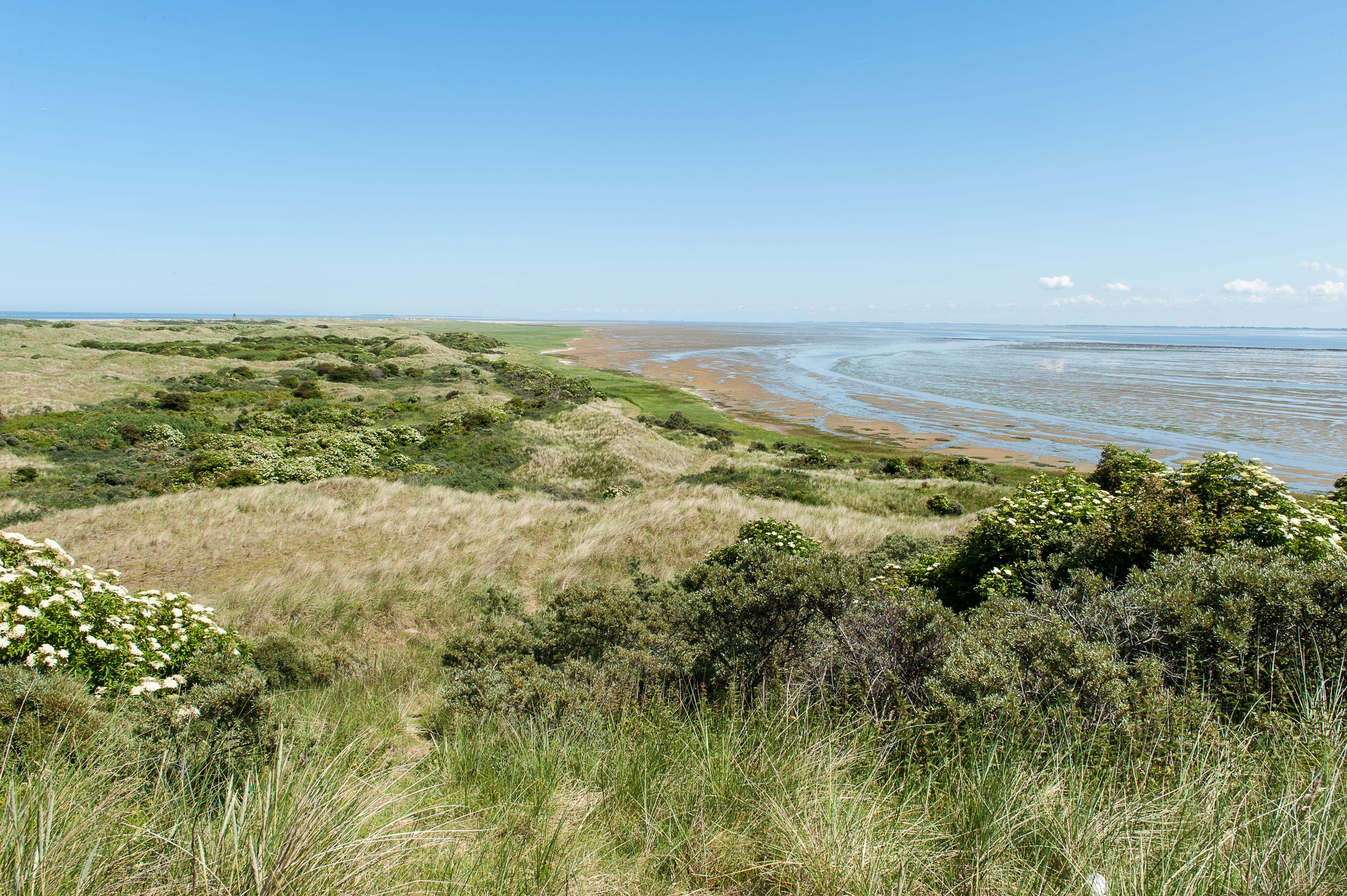Duingebied met het strand en de zee op de achtergrond 