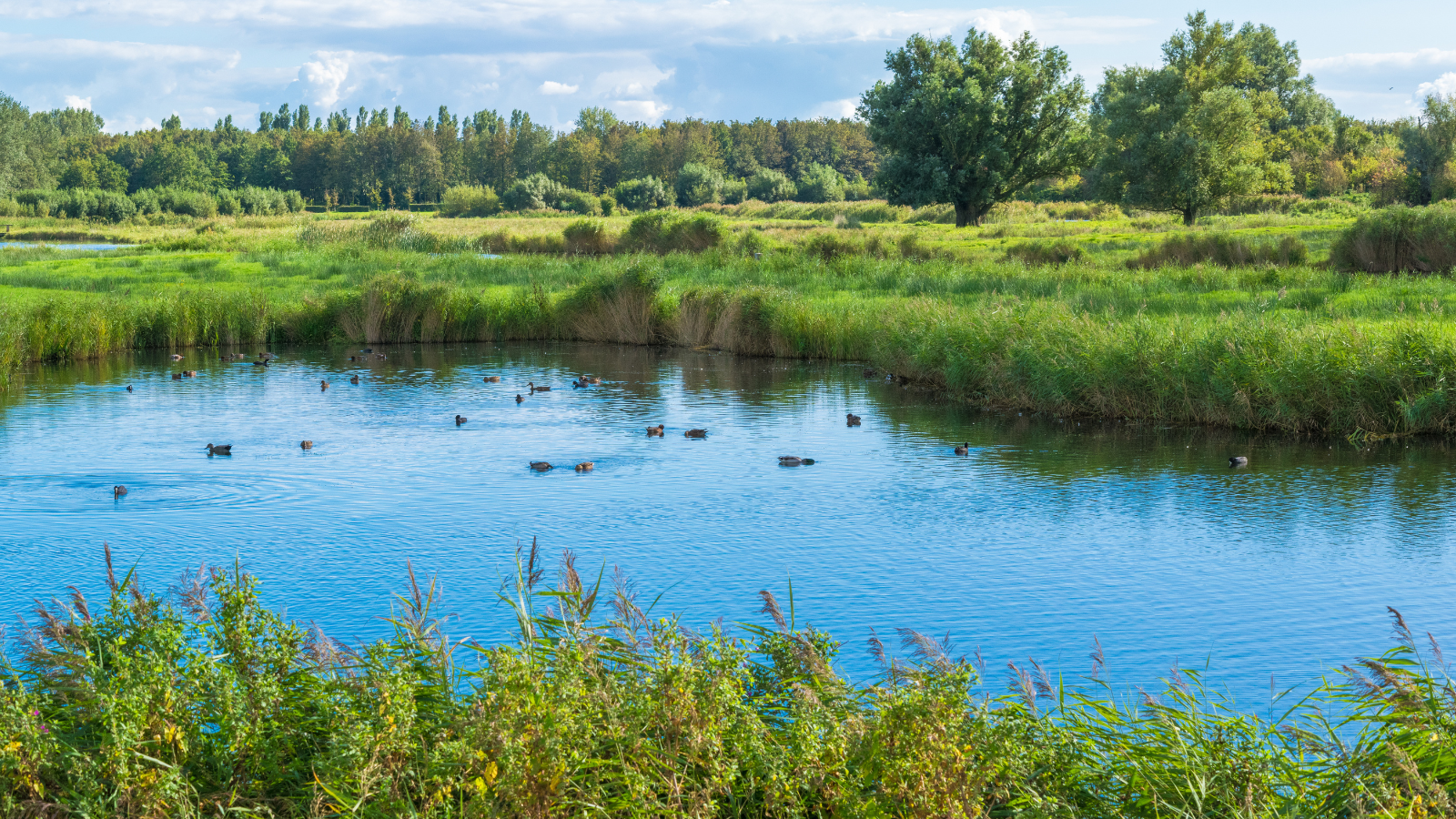Wandelroutes In Noord Holland