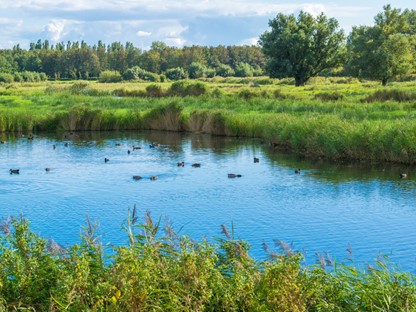 Wandelroutes In Noord Holland