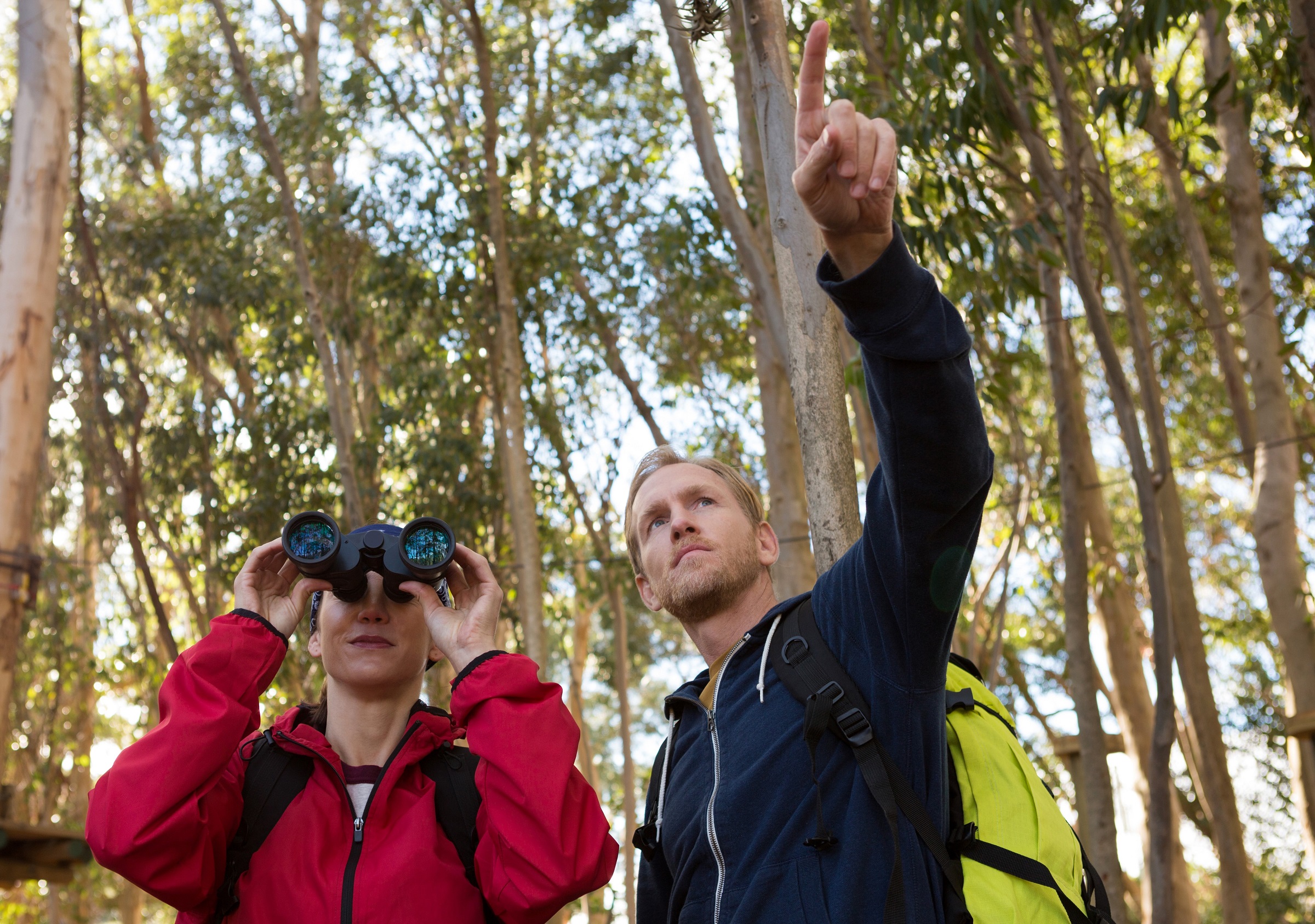 Header | /natuurtips-voor-je-wandeling