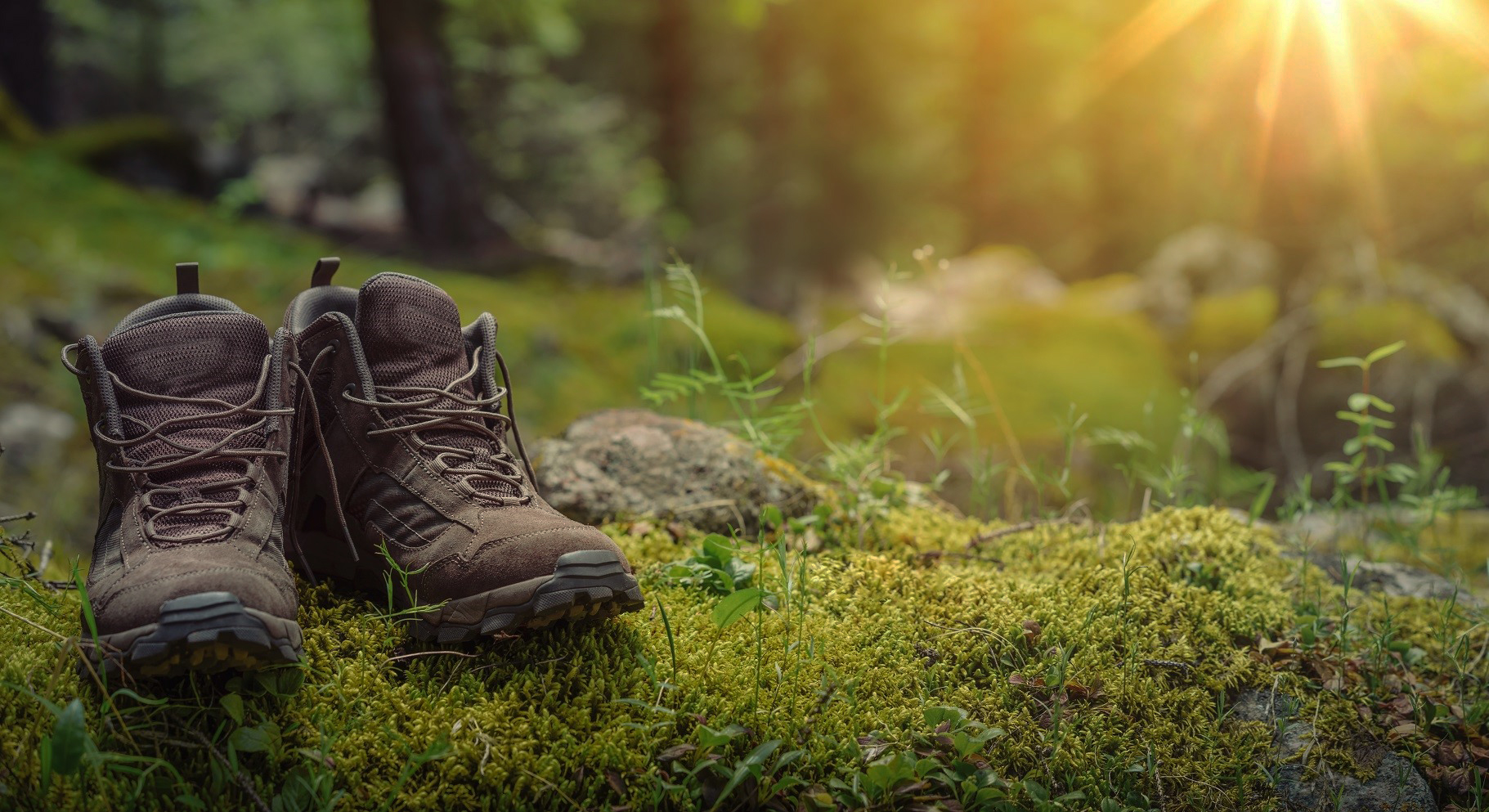 Header | /buchrnhornen