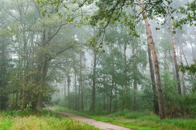 Meinweg Lange Luier Bob Luijks