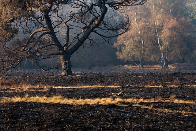 Meinweg Na De Brand Bob Luijks
