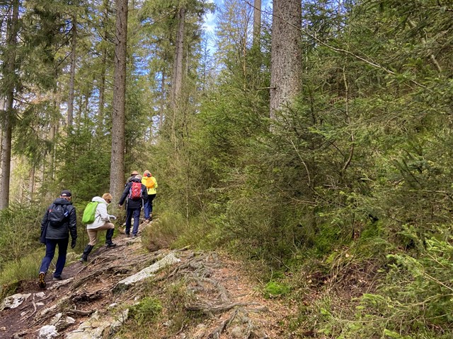 Klimmen door Natuurpark Haus Ternell