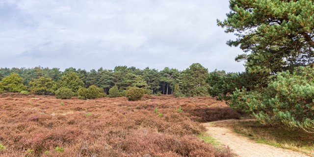 Wandelen in de lente de mooiste wandelroutes