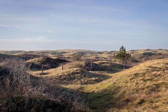 Drie Plekjes Op Texel Die Je Alleen Wandelend Kunt Ontdekken: Eierlandse duinen