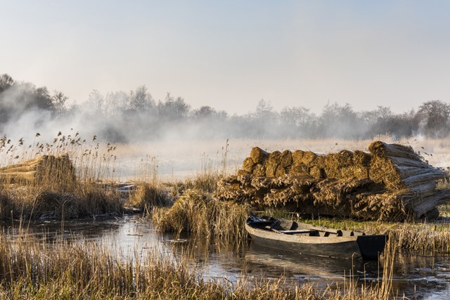 afbeelding van een bootje in de mistige Weerribben, Giethoorn.