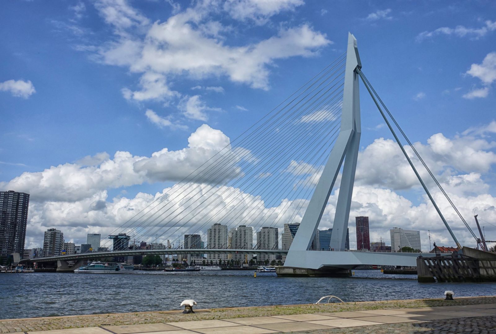 Rondwandeling Rotterdam Maasstad: Erasmusbrug.