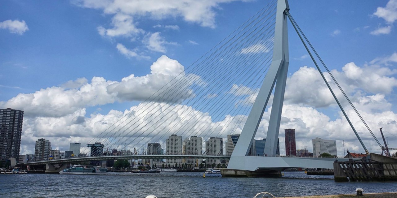 Rondwandeling Rotterdam Maasstad: Erasmusbrug.