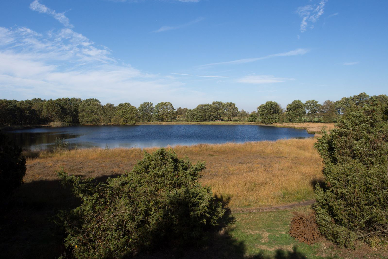 afbeelding van een moerassig gebied in de Kampsheide in Drenthe.