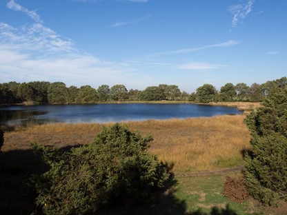 afbeelding van een moerassig gebied in de Kampsheide in Drenthe.
