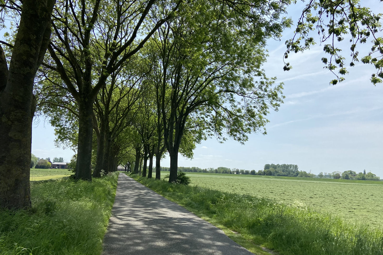 weg door de binnenlanden naar Vierakker.