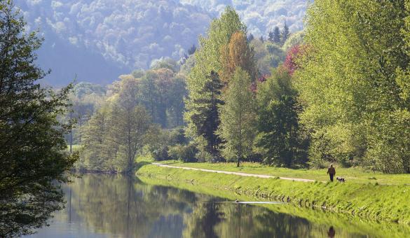 Bij de rotsen van Sy in de Belgische Ardennen