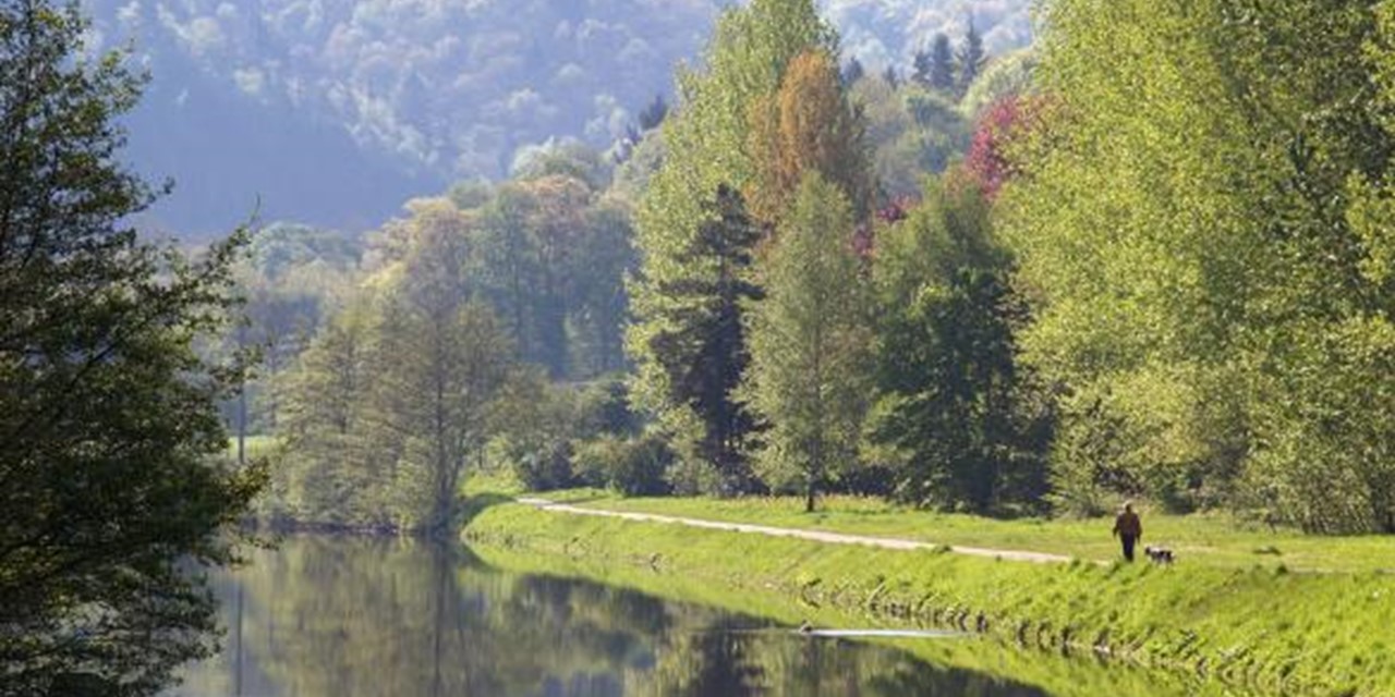 Bij de rotsen van Sy in de Belgische Ardennen