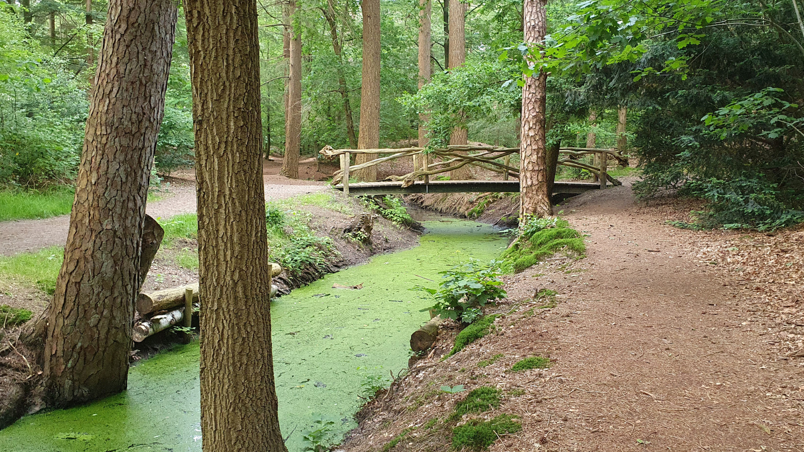 Wandelroute Zeisterbos Sprengen In Het Zeisterbos