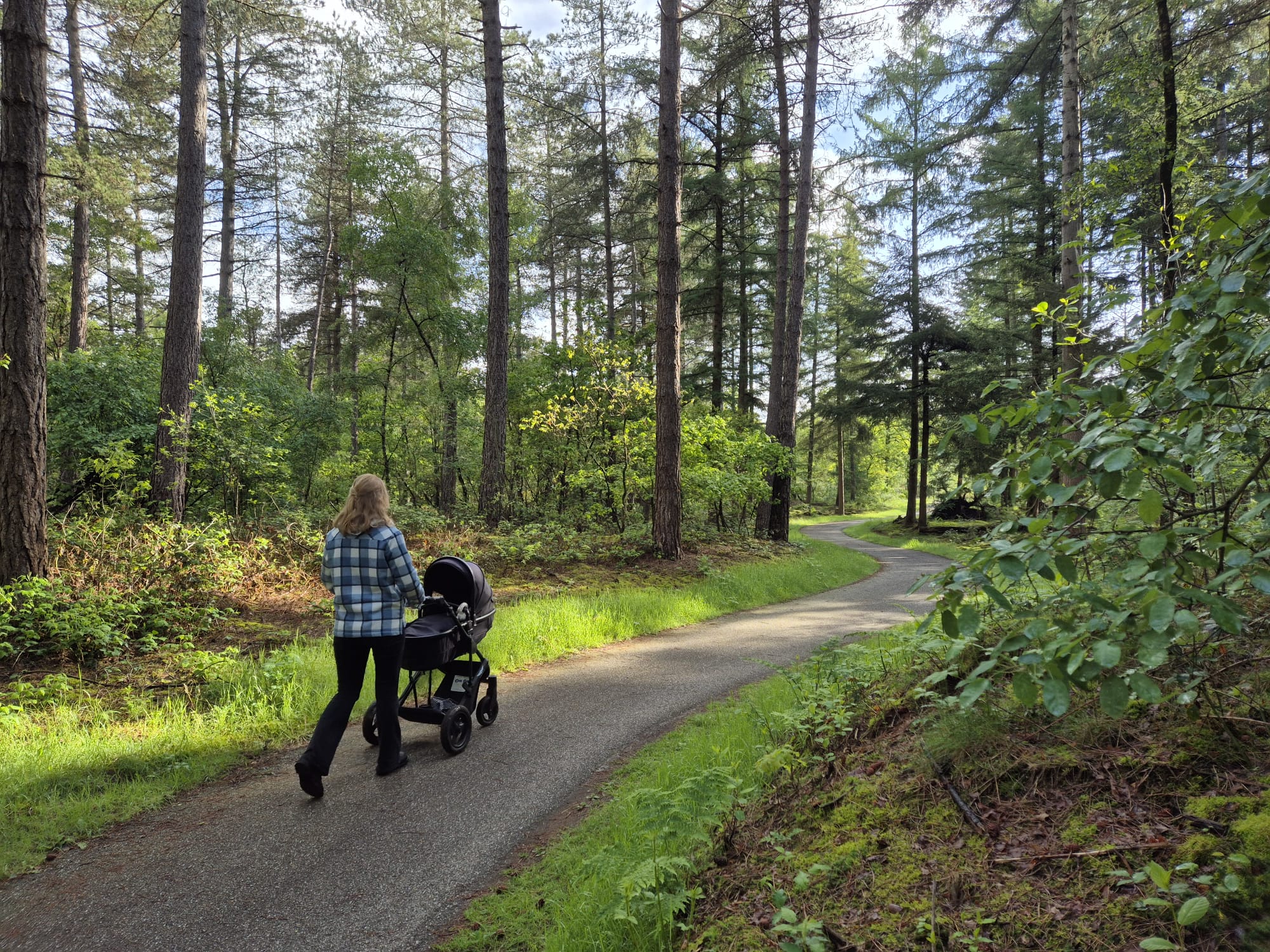 Wandelroutes Met Kinderwagen, Buggy (1)