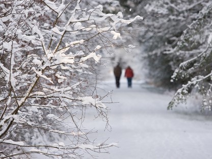 afbeelding van twee wandelaars in de sneeuw.