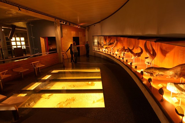 afbeelding van mensen in Museonder.