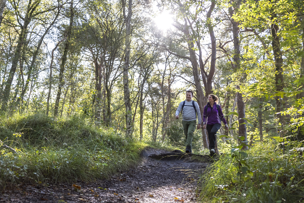 Kwbn Rechtenvrij (3)